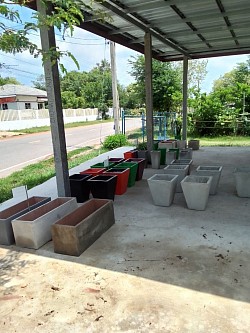 ขายปลีกและส่ง